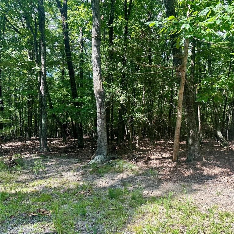 Single Family Residence at Lot 63 Grandview Circle, Traphill NC 28685, photo 3 of 7