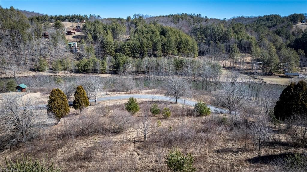 Unimproved Land at Lot #46 New River Landing, Crumpler NC 28617, photo 5 of 8