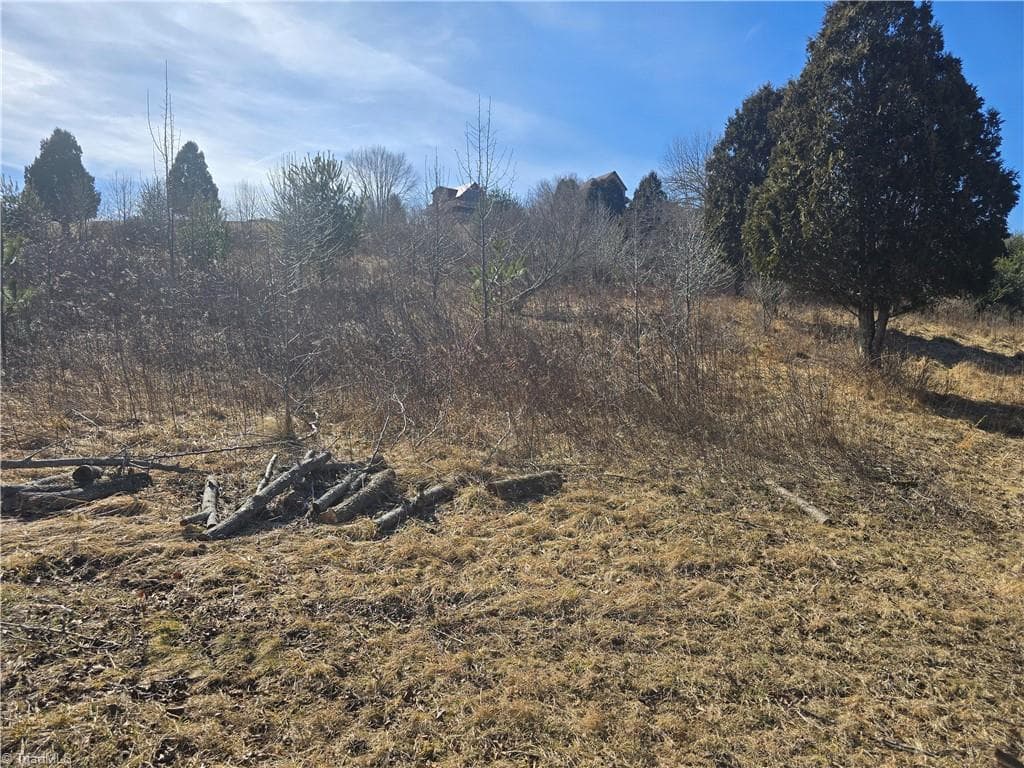 Unimproved Land at Lot #46 New River Landing, Crumpler NC 28617, photo 4 of 8