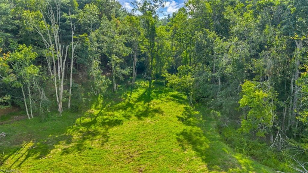 Unimproved Land at TBD Murphy Bend Road, Ennice NC 28623, photo 42 of 50