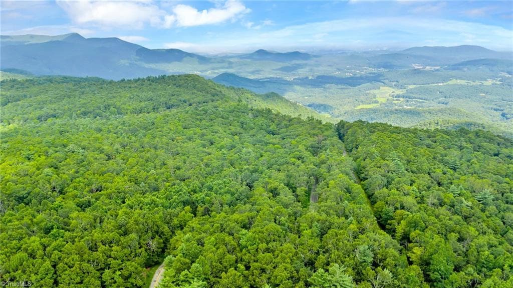 Unimproved Land at TBD Murphy Bend Road, Ennice NC 28623, photo 32 of 50