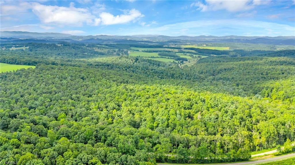 Unimproved Land at TBD Murphy Bend Road, Ennice NC 28623, photo 28 of 50