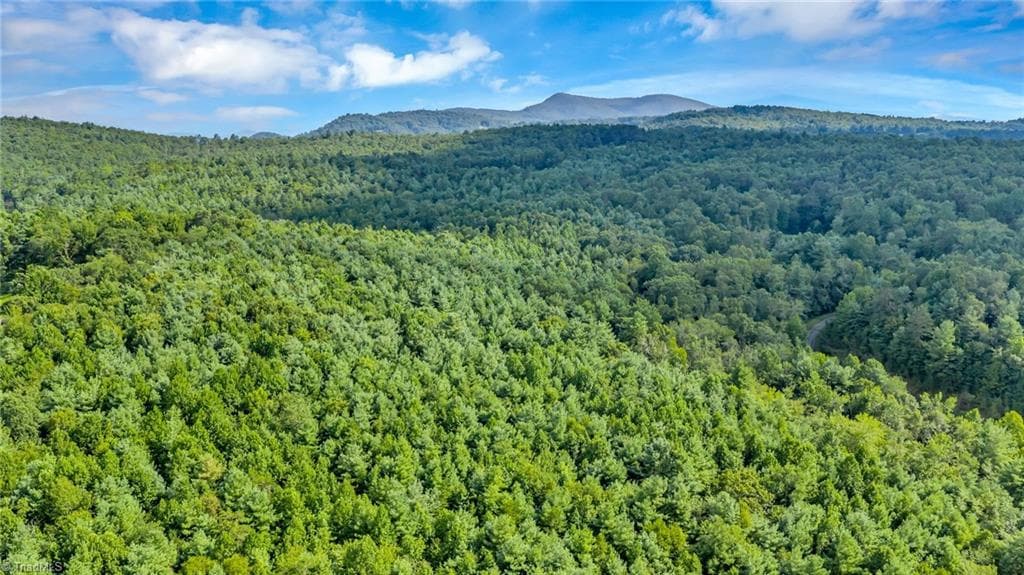 Unimproved Land at TBD Murphy Bend Road, Ennice NC 28623, photo 34 of 50