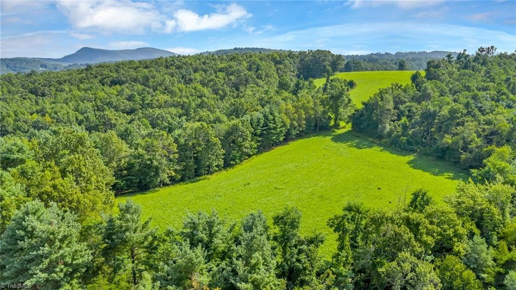 Unimproved Land at TBD Murphy Bend Road, Ennice NC 28623, photo 38 of 50