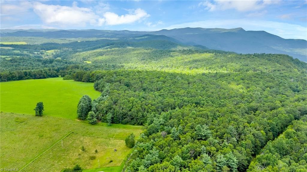Unimproved Land at TBD Murphy Bend Road, Ennice NC 28623, photo 14 of 50