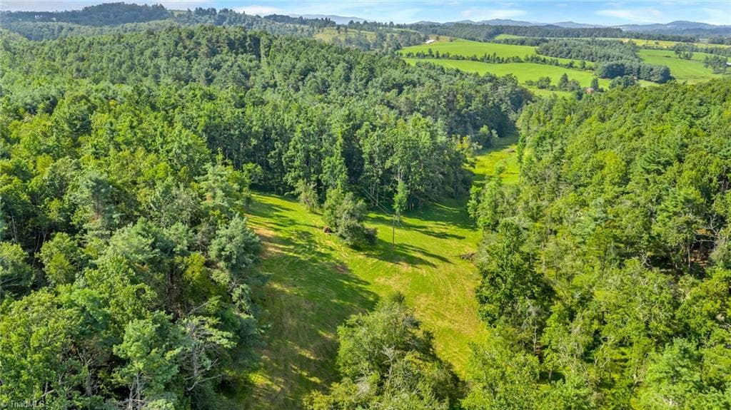 Unimproved Land at TBD Murphy Bend Road, Ennice NC 28623, photo 41 of 50