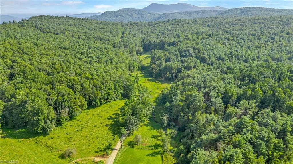 Unimproved Land at TBD Murphy Bend Road, Ennice NC 28623, photo 45 of 50