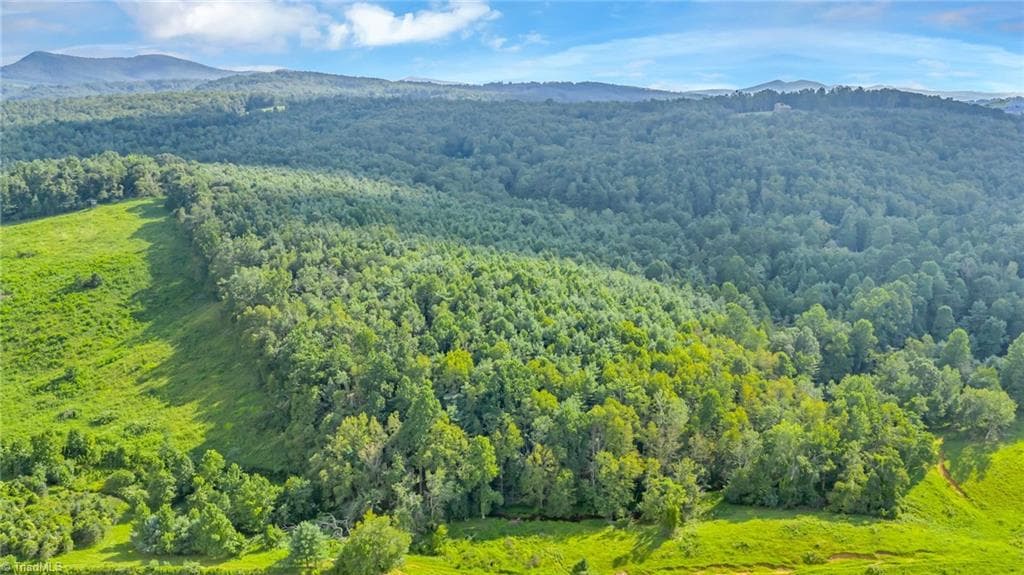 Unimproved Land at TBD Murphy Bend Road, Ennice NC 28623, photo 37 of 50