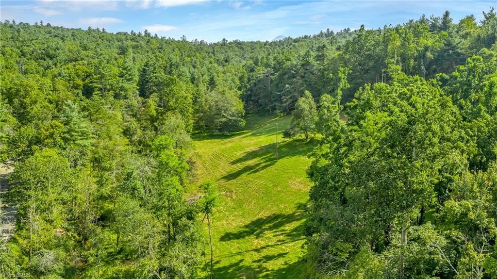 Unimproved Land at TBD Murphy Bend Road, Ennice NC 28623, photo 40 of 50