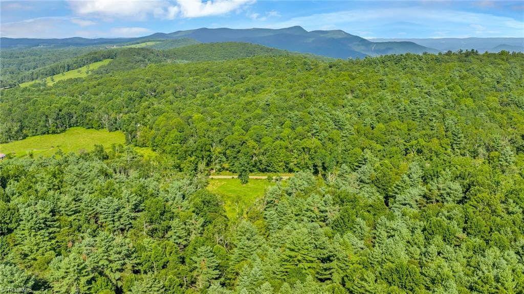 Unimproved Land at TBD Murphy Bend Road, Ennice NC 28623, photo 39 of 50