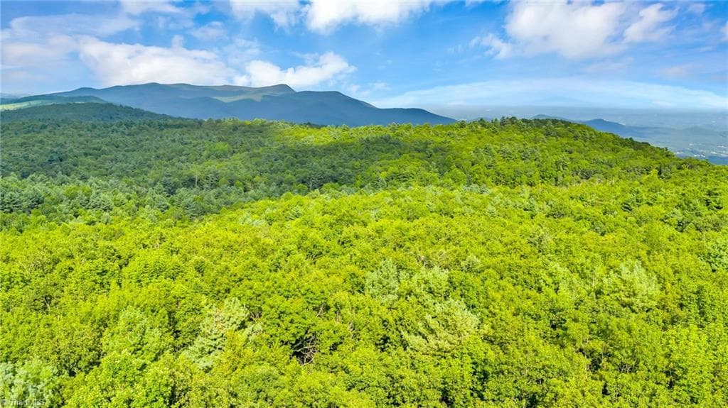 Unimproved Land at TBD Murphy Bend Road, Ennice NC 28623, photo 29 of 50
