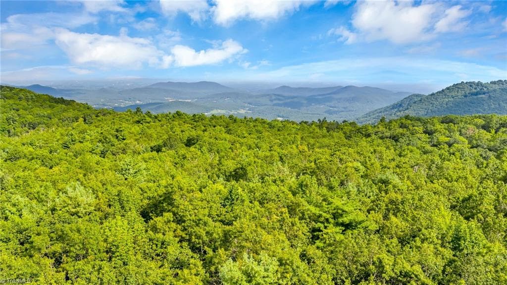 Unimproved Land at TBD Murphy Bend Road, Ennice NC 28623, photo 25 of 50