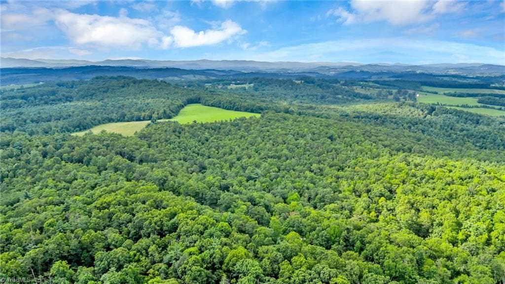 Unimproved Land at TBD Murphy Bend Road, Ennice NC 28623, photo 21 of 50