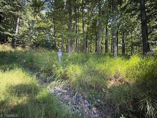 Single Family Residence at 33 Ashe View Drive, Millers Creek NC 28651, photo 7 of 9