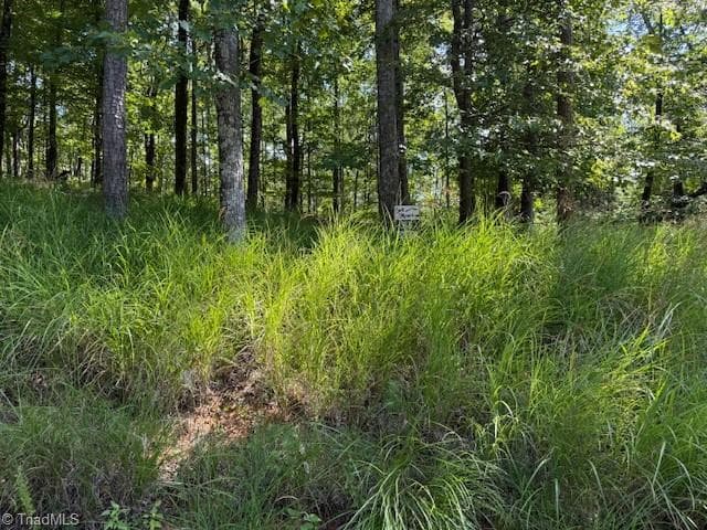 Single Family Residence at 33 Ashe View Drive, Millers Creek NC 28651, photo 5 of 9