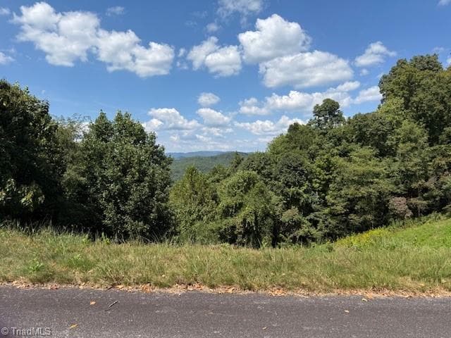 Single Family Residence at 33 Ashe View Drive, Millers Creek NC 28651, photo 4 of 9