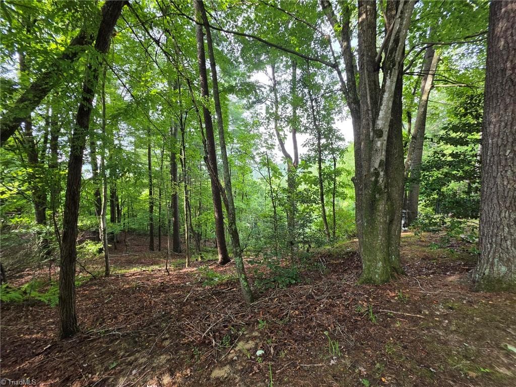 Stick/Site Built at 582 Deer Crossing Lane, Lenoir NC 28645, photo 14 of 48