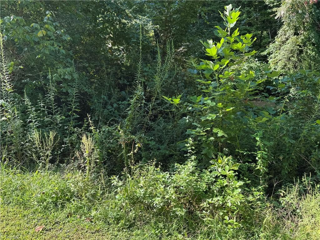 Single Family Residence at 0 Doral Drive, Tobaccoville NC 27050, Tobaccoville, photo 21 of 43