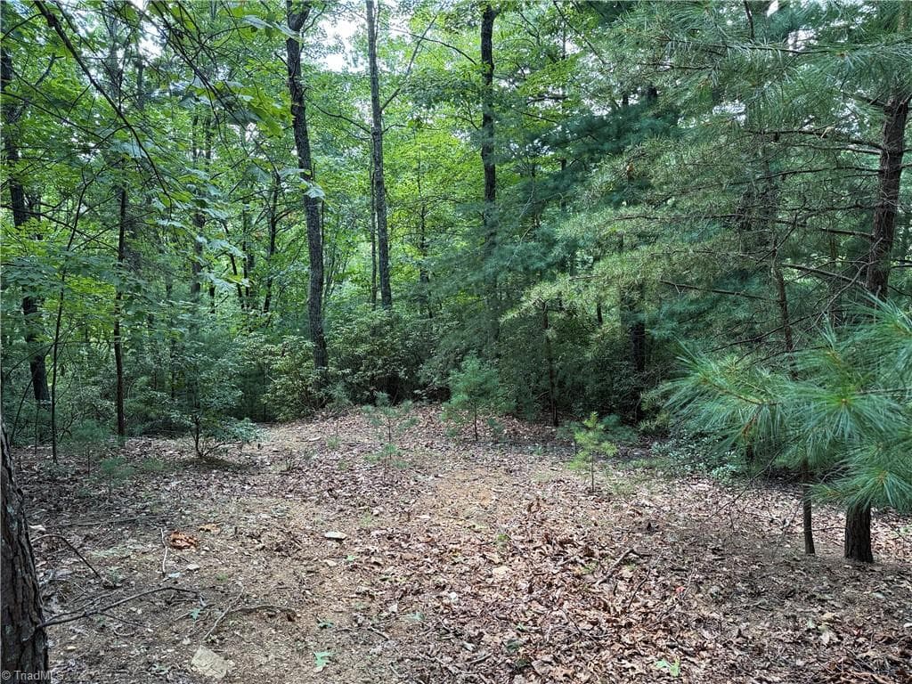 Single Family Residence at Lot 102 & 103 Hickory Hollow Road, Purlear NC 28665, Purlear, photo 2 of 39