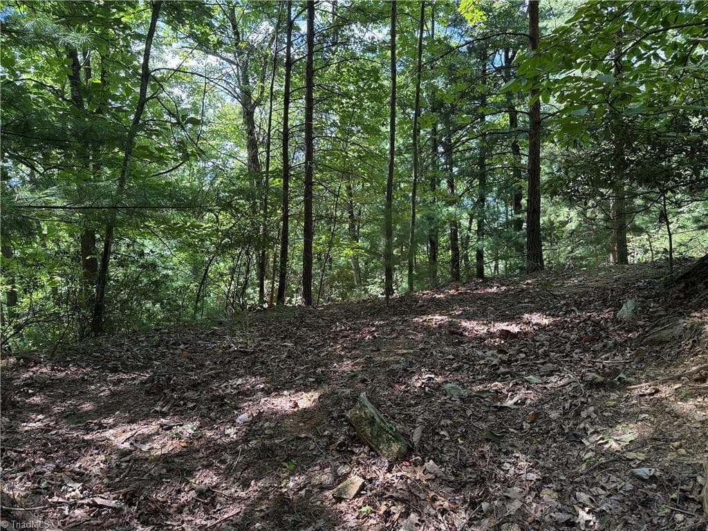 Single Family Residence at Lot 102 & 103 Hickory Hollow Road, Purlear NC 28665, Purlear, photo 6 of 39