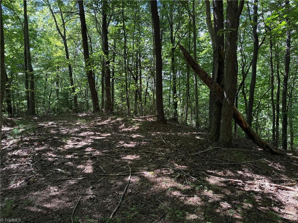 Single Family Residence at Lot 102 & 103 Hickory Hollow Road, Purlear NC 28665, Purlear, photo 16 of 39