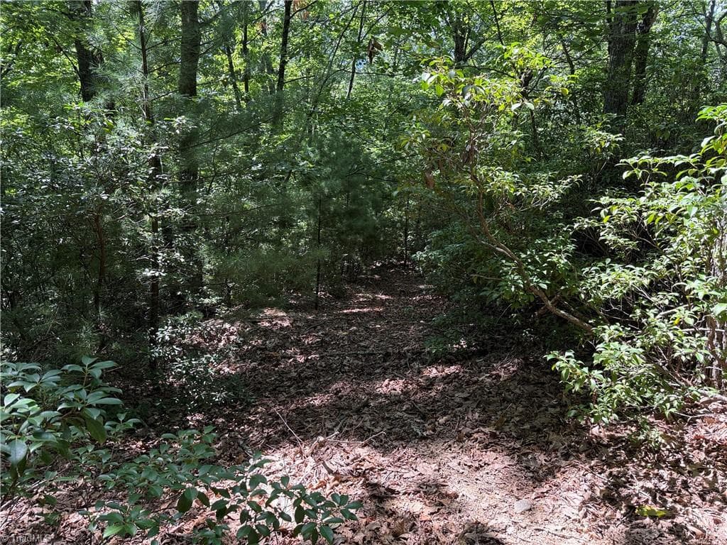 Single Family Residence at Lot 102 & 103 Hickory Hollow Road, Purlear NC 28665, Purlear, photo 7 of 39
