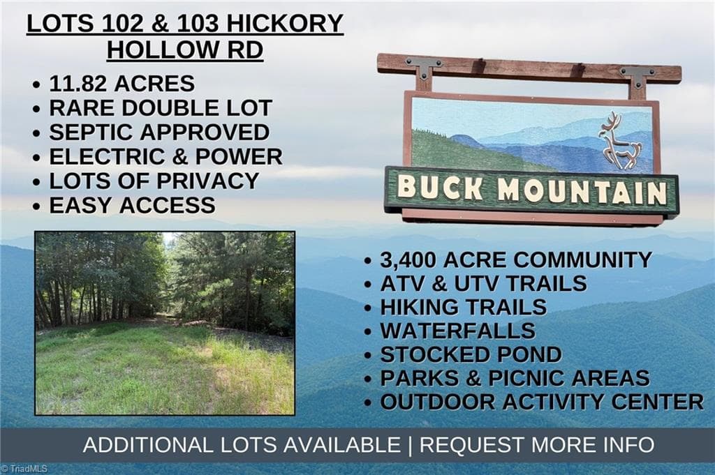 Lot 102 & 103 Hickory Hollow Road, Purlear NC 28665