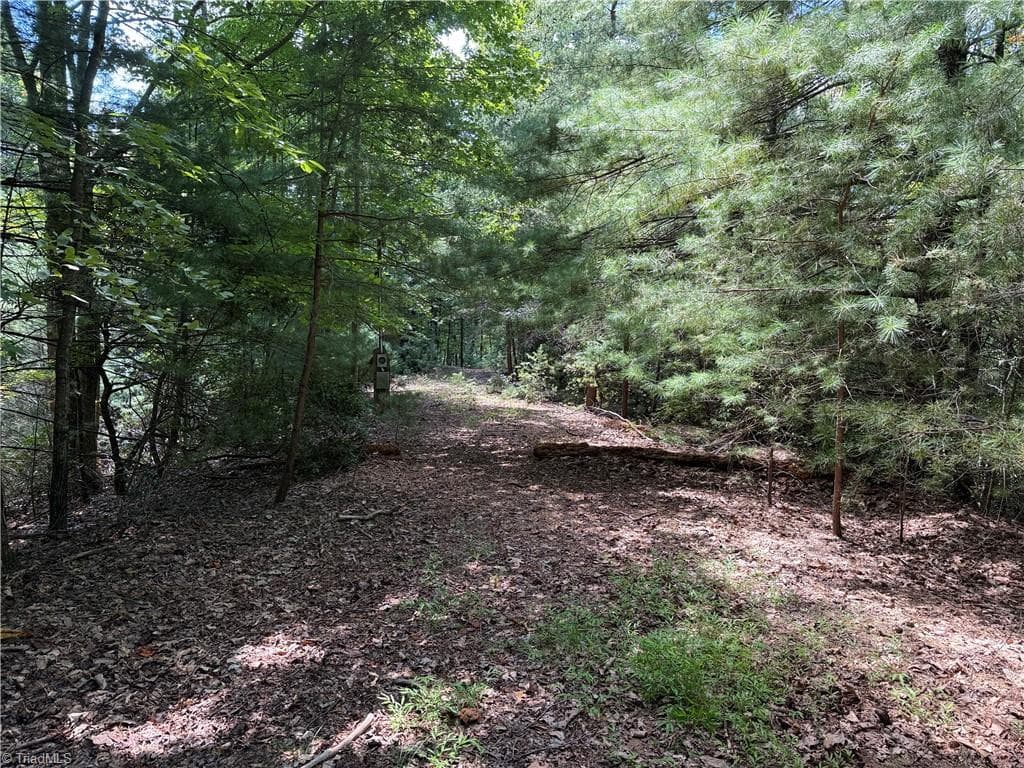 Single Family Residence at Lot 102 & 103 Hickory Hollow Road, Purlear NC 28665, Purlear, photo 5 of 39