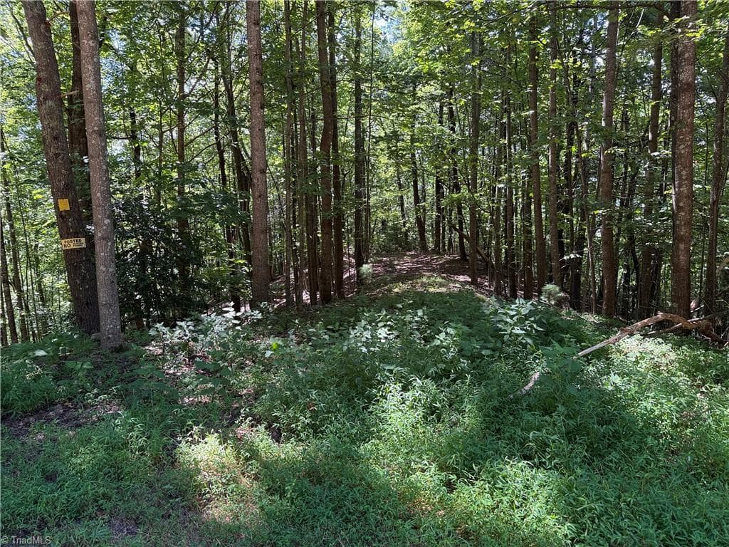 Single Family Residence at Lot 102 & 103 Hickory Hollow Road, Purlear NC 28665, Purlear, photo 14 of 39