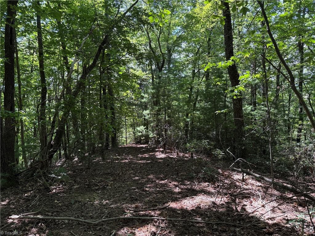 Single Family Residence at Lot 102 & 103 Hickory Hollow Road, Purlear NC 28665, Purlear, photo 15 of 39