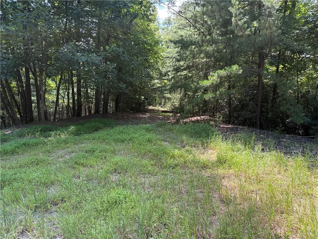 Single Family Residence at Lot 102 & 103 Hickory Hollow Road, Purlear NC 28665, Purlear, photo 4 of 39