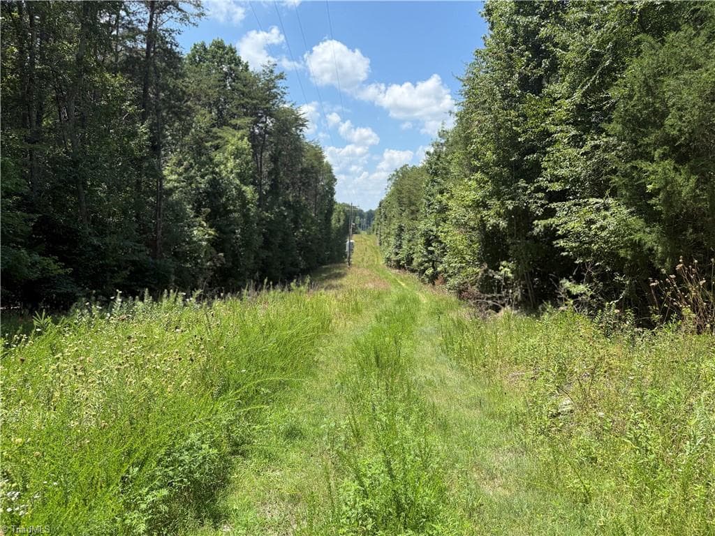 Unimproved Land at 438 River Pines Trail, Clemmons NC 27012, photo 4 of 5