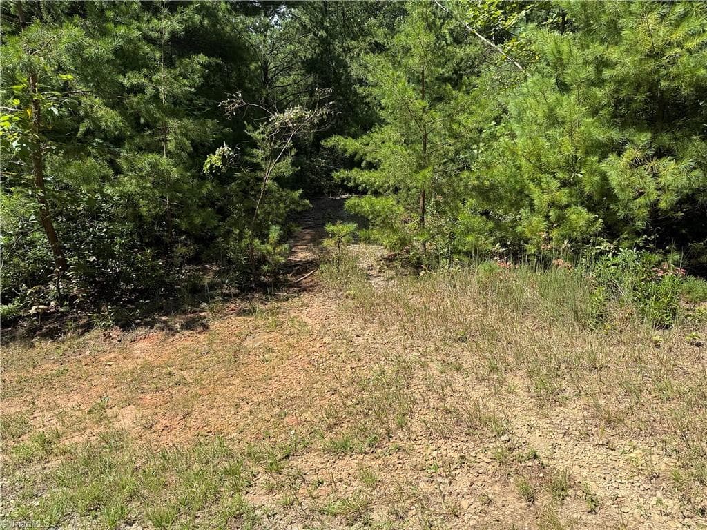 Single Family Residence at Lot 163 Staghorn Road, Purlear NC 28665, photo 6 of 34