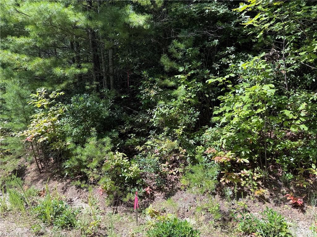 Single Family Residence at Lot 163 Staghorn Road, Purlear NC 28665, photo 13 of 34