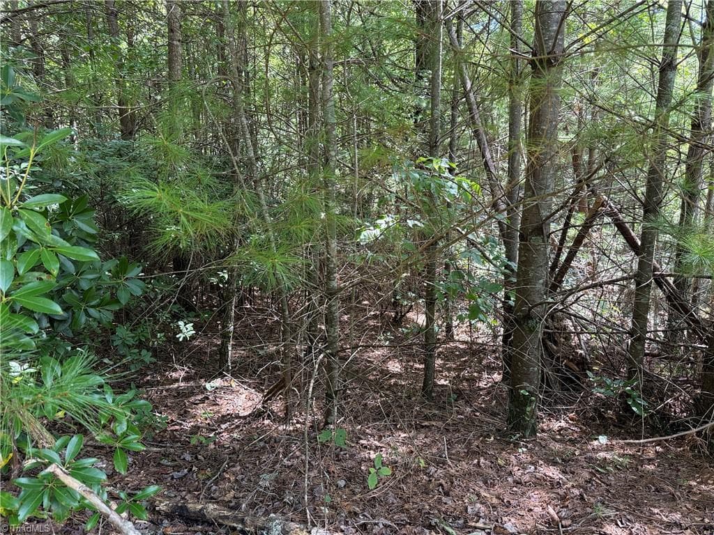 Single Family Residence at Lot 163 Staghorn Road, Purlear NC 28665, photo 12 of 34