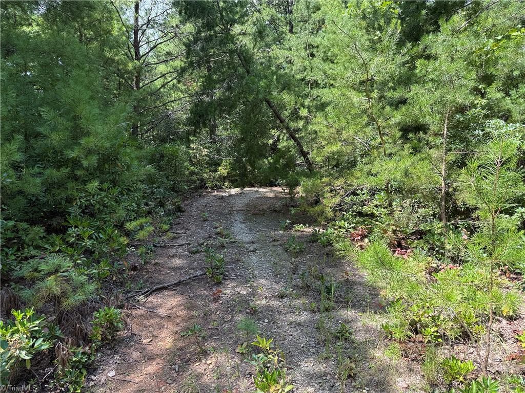 Single Family Residence at Lot 163 Staghorn Road, Purlear NC 28665, photo 7 of 34