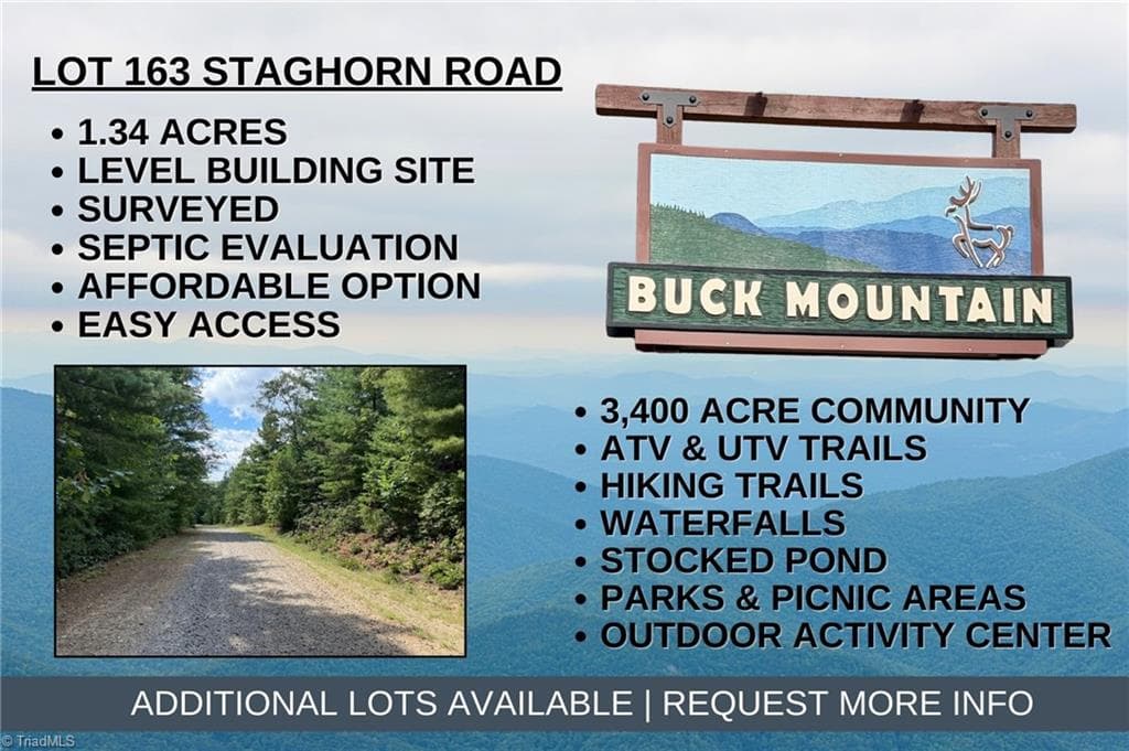 Lot 163 Staghorn Road, Purlear NC 28665