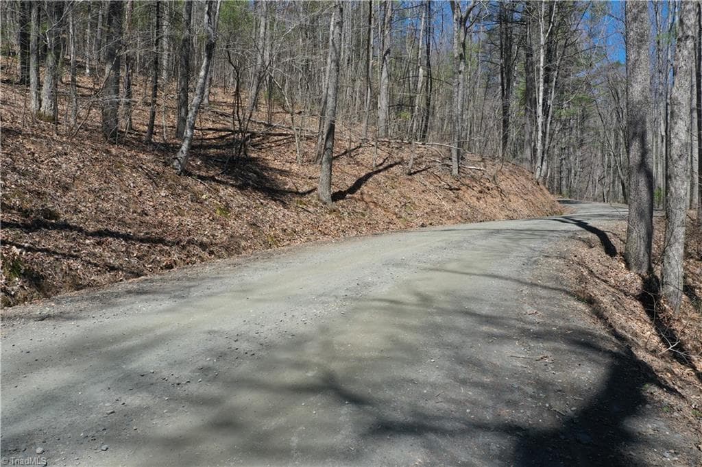Unimproved Land at 240 olde Stone Drive, Crumpler NC 28617, photo 23 of 43