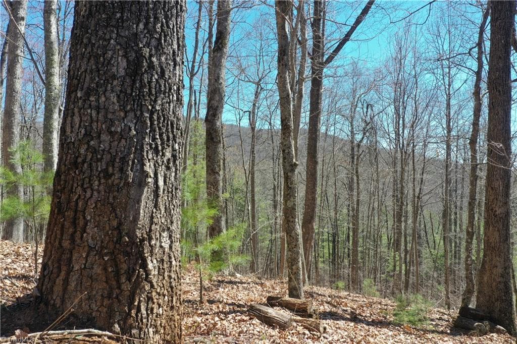 Unimproved Land at 240 olde Stone Drive, Crumpler NC 28617, photo 2 of 43
