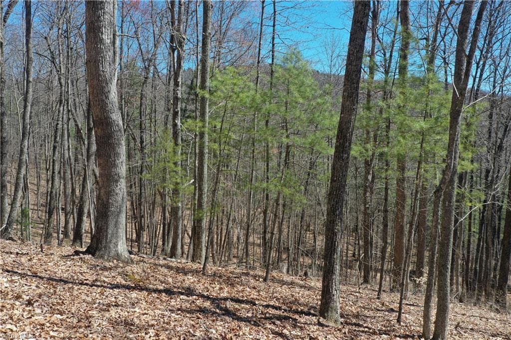 Unimproved Land at 240 olde Stone Drive, Crumpler NC 28617, photo 6 of 43