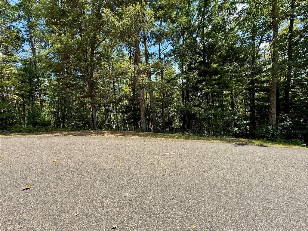 Unimproved Land at 240 olde Stone Drive, Crumpler NC 28617, photo 42 of 43