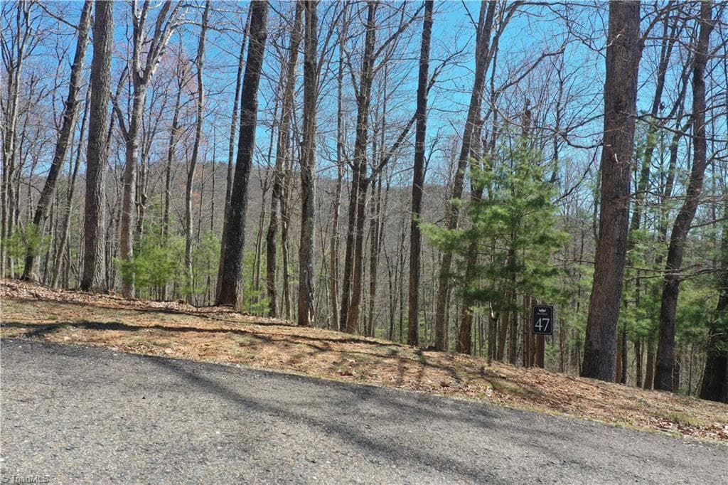 Unimproved Land at 240 olde Stone Drive, Crumpler NC 28617, photo 13 of 43