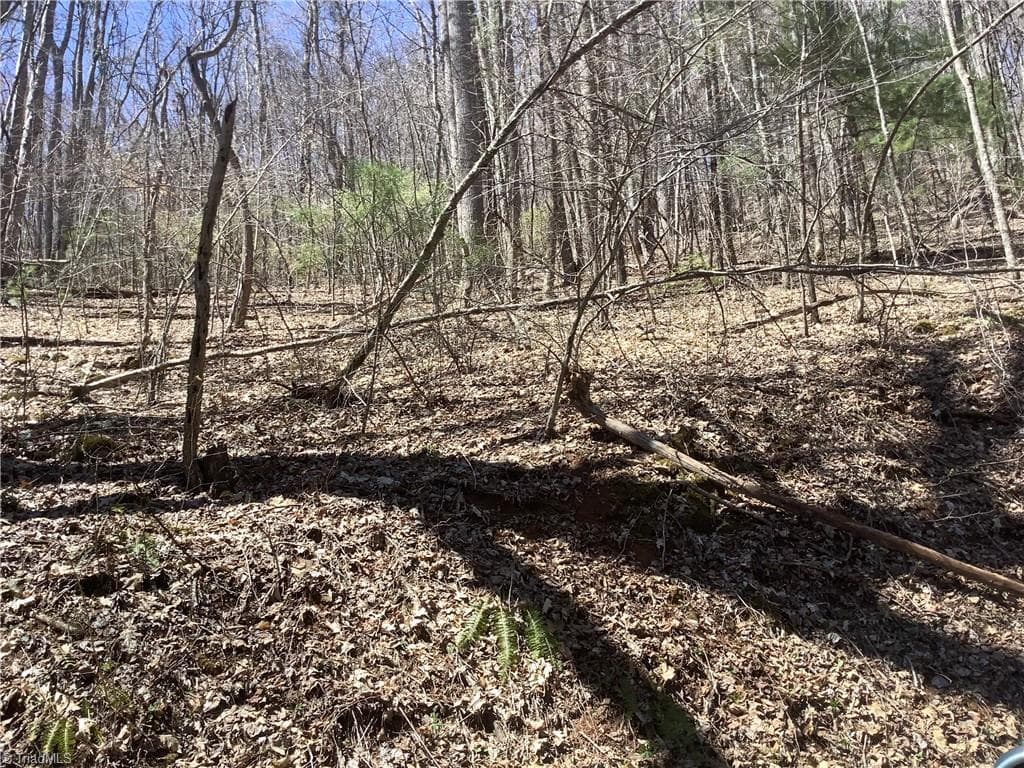Unimproved Land at 240 olde Stone Drive, Crumpler NC 28617, photo 17 of 43