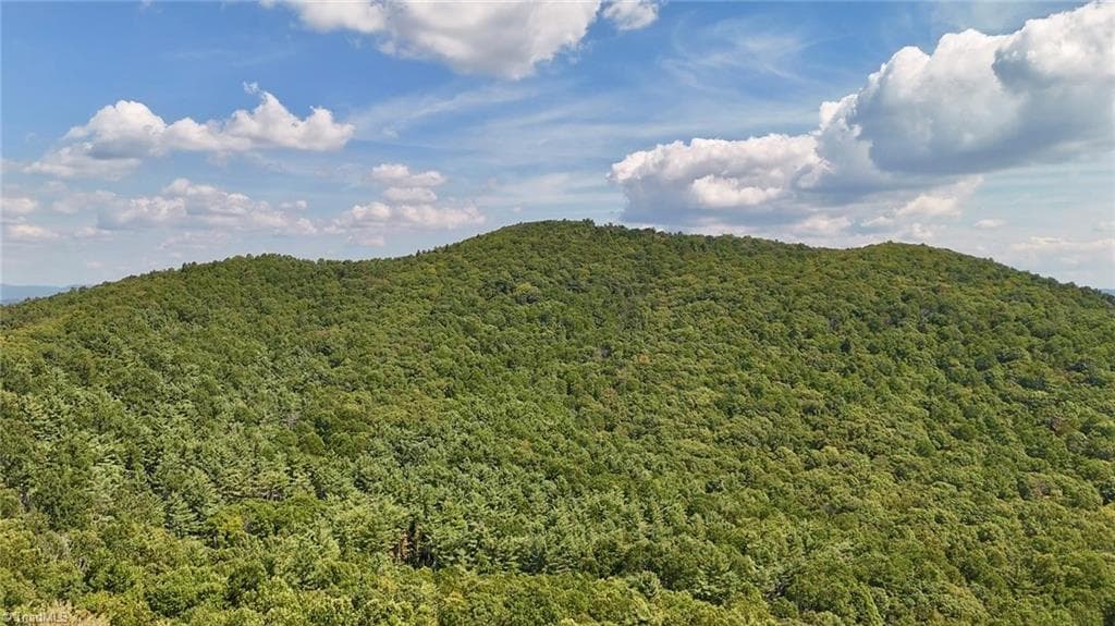 Unimproved Land at 240 olde Stone Drive, Crumpler NC 28617, photo 16 of 43