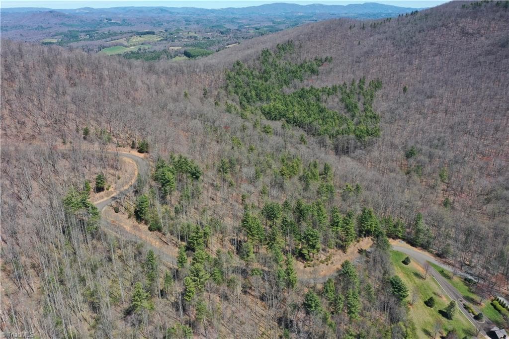 Unimproved Land at 240 olde Stone Drive, Crumpler NC 28617, photo 12 of 43