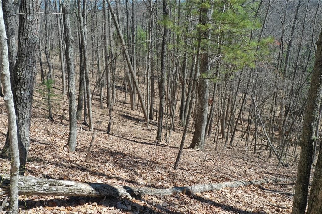 Unimproved Land at 240 olde Stone Drive, Crumpler NC 28617, photo 7 of 43