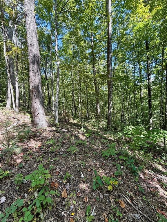 Unimproved Land at 240 olde Stone Drive, Crumpler NC 28617, photo 36 of 43