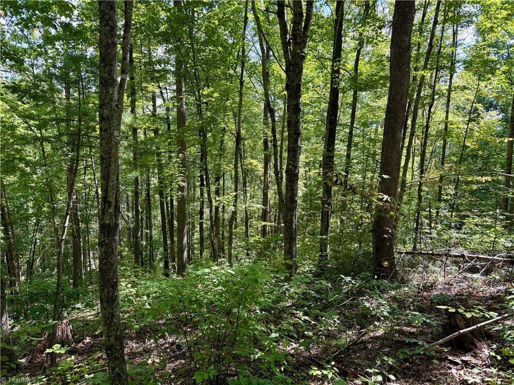Unimproved Land at 240 olde Stone Drive, Crumpler NC 28617, photo 28 of 43