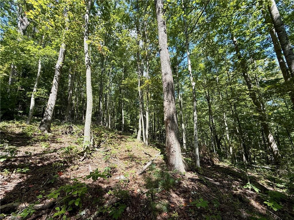 Unimproved Land at 240 olde Stone Drive, Crumpler NC 28617, photo 5 of 43