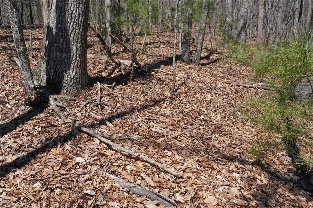 Unimproved Land at 240 olde Stone Drive, Crumpler NC 28617, photo 20 of 43